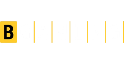 partners who work with Baadsha