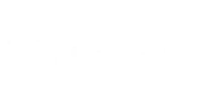 partners who work with Baadsha